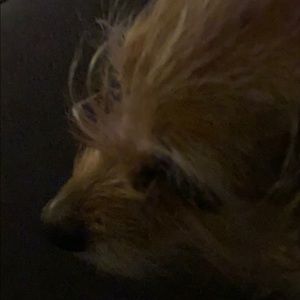 Meet your Posher, Cheray